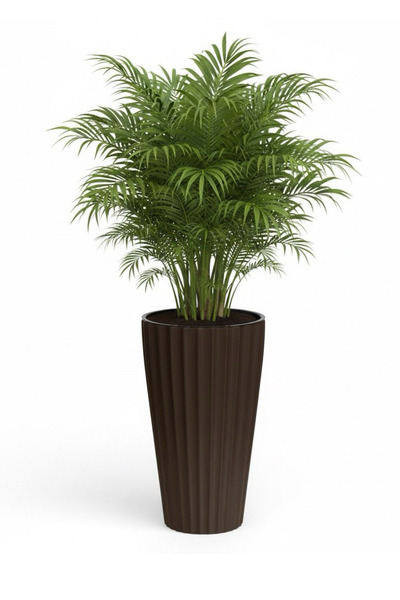 Bliss Lilyum Dekoratif Çizgili Saksı Vazo & Şemsiyelik Acı Kahve Renk 58 cm (İçliksiz)