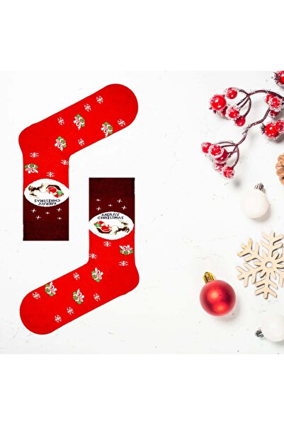 CARNAVAL SOCKS Merry Christmas Written Unisex Christmas Patterned Colorful Socks