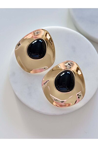 CHARMLUCKY Steel Bracelet Earrings