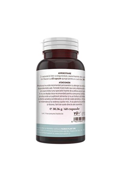 Faunus Plant Colagen Capsule — Concentrated Type II Collagen with Hyaluronic Acid & Medicinal Plants, 60 cap