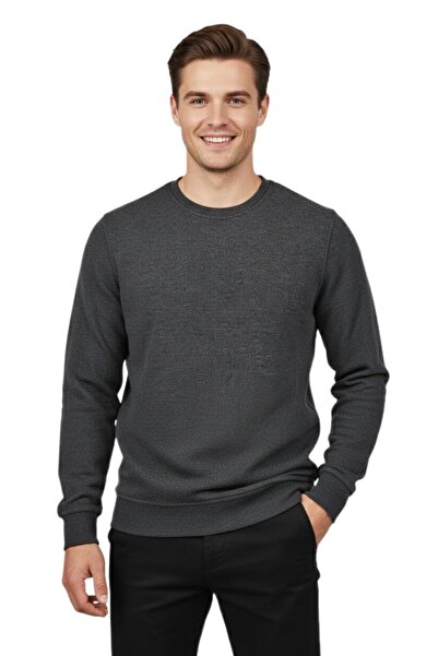 Raymons Men's Crew Neck Honeycomb Texture Regular Fit Sweatshirt Bgl-St04950