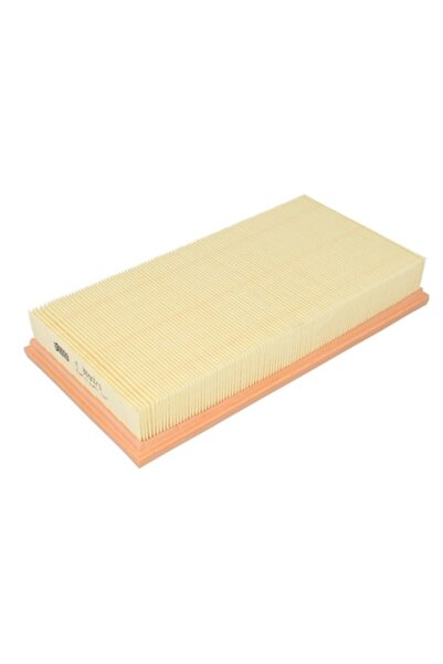 Mann-Filter filtru de aer pentru Seat, Skoda și Volkswagen (C3093/1)