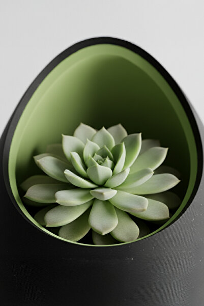 OEM Decorative egg-shaped pot, Midnight Onyx & Olive Green color