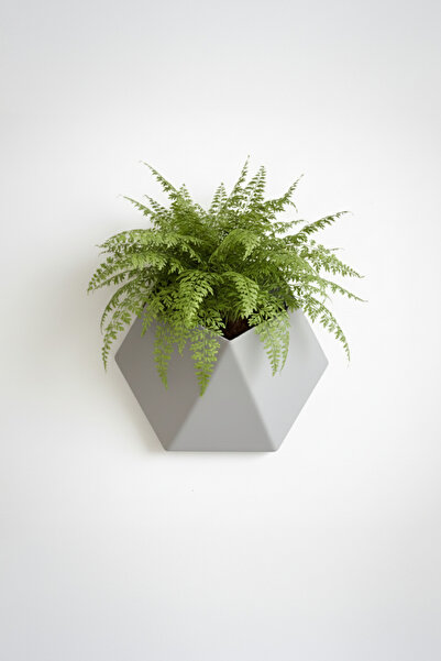 OEM Hexa Design wall planter, Graphite Mist color, geometric design, eco-friendly material