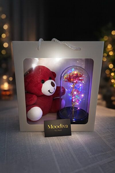 By Aheli Kırmızı Ayıcıklı Solmayan Gül Fanus Seti