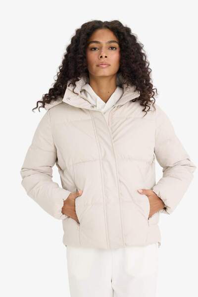 DeFacto Regular Fit Hooded Zippered Puffer Jacket F2143Ax25Wn