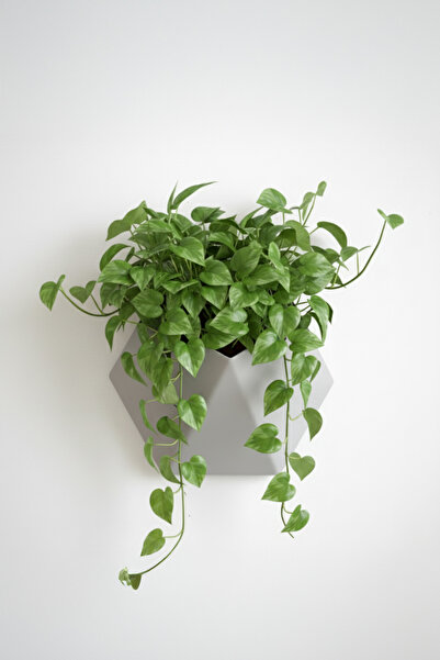 OEM Hexa Design wall planter, Graphite Mist color, geometric design, eco-friendly material