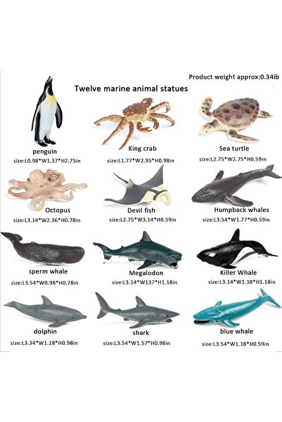 Bukela 12Pack Sea Animal Figures Cake Topper, Ocean Creature Figurine Shark Whale