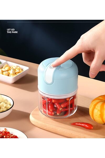 Bukela Electric Garlic Chopper Cordless Mini Chopper USB Rechargeable 304 Stainless