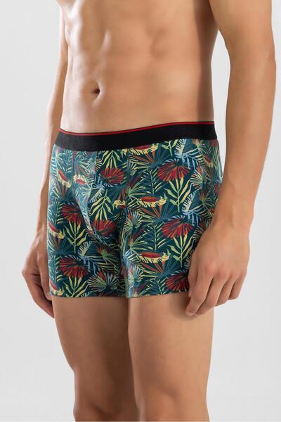 BAYKAR Erkek Desenli Likralı Pamuklu Desenli Boxer 1414 Yeşil