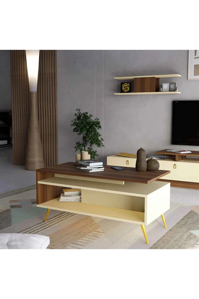 Stylish Home Brown and beige coffee table - CT01