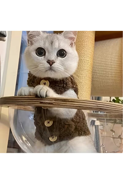 KAYHN KYHN🐾Peluş Düğmeli Kedi Yeleği – Yumuşak, Sıcak, Rahat | Sevimli Kışlı...
