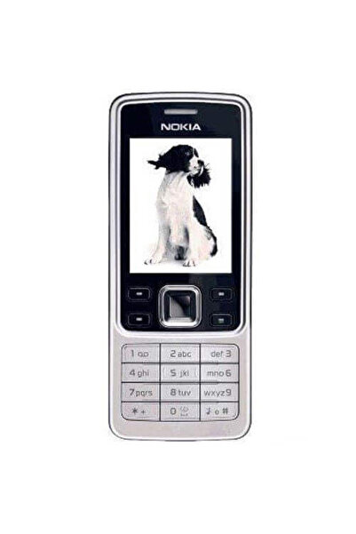 Generic Nokia 6300