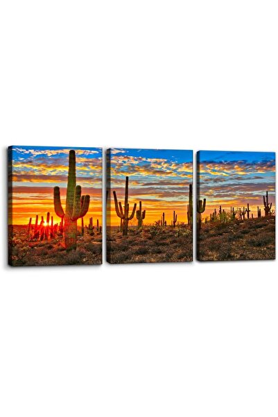 Emoda home Trove لوحة فنية جدارية مؤطرة من قماش لمنظر غروب الشمس على شكل صبار...