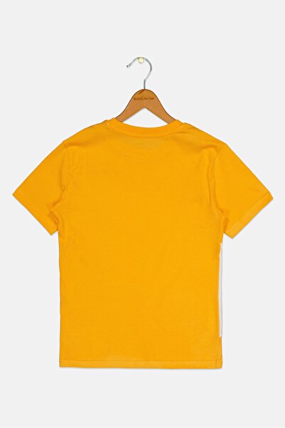 Puma Kids Boy Crew Neck Short Sleeve Outdoor T-Shirt, Multicolor