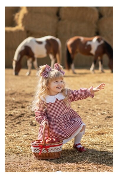 Tinypeople Female Child Peter Pan collar Sweet Dress Female Child Festival Vintage Child Dress