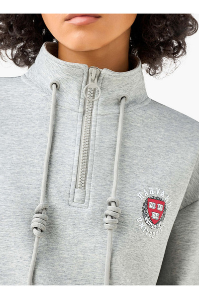 SP Characters Regular Fit Sweatshirt with Harvard University Detail