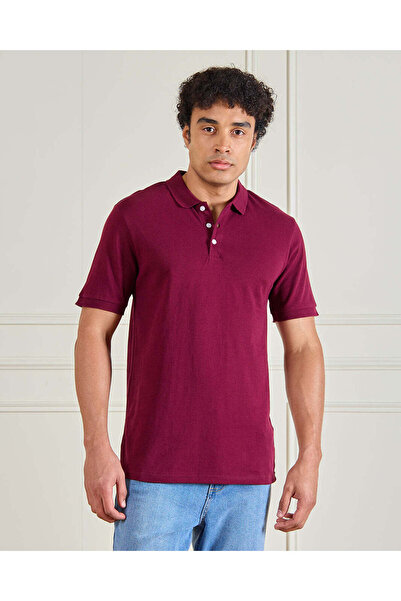 REDTAG Men Burgundy Classic Polo Shirt