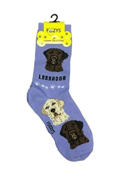 Foozys Labrador Printed Polyester Socks Size 9-11