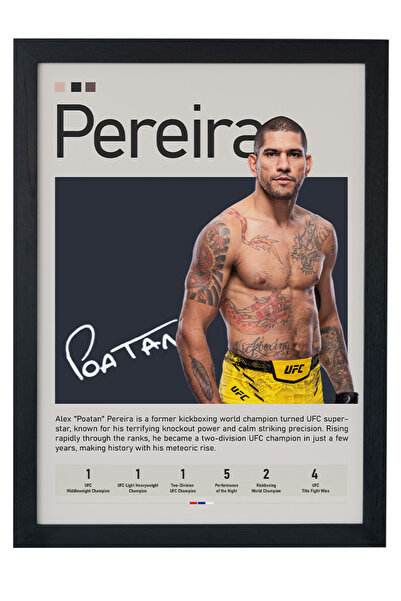 gxe.art Slikanje na drvenom okviru posterom Alex Pereira – Knockout Art Design