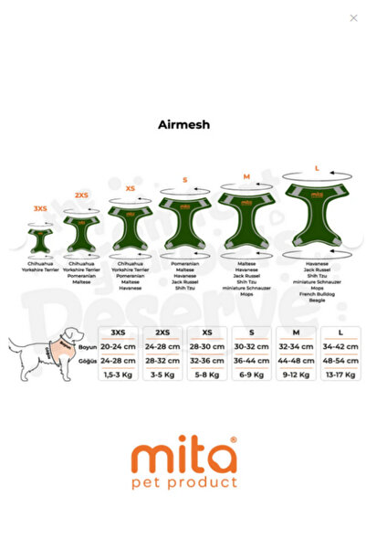 Mita Set of 12 Air Mesh 3XS Breast Collar Turquoise