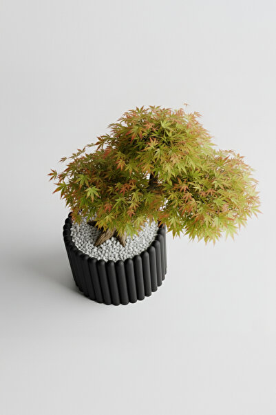 OEM Rounded Columns Decorative Pot – Midnight Onyx Color