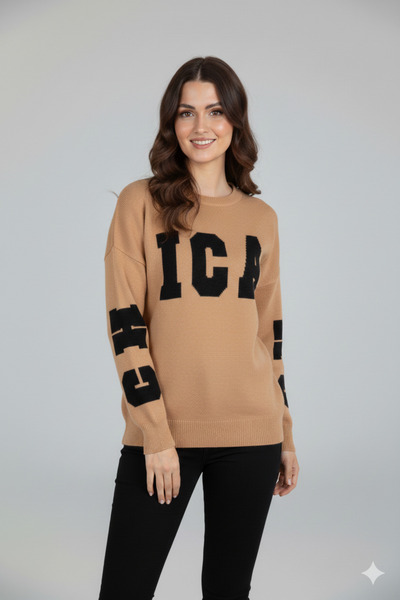 trendalisse Women's Crew Neck Embroidered Knit Sweater