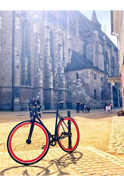 SXT Bicycle Fork Singlespeed 55 cm, Chrome-Molybdenum (CR-MO)