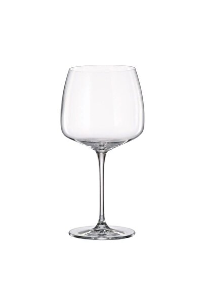 BOHEMİA CRYSTAL Set 6 pahare gin/vin Crystal Bohemia Anas 660 ml transparent