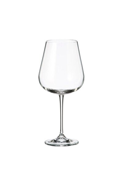 BOHEMİA CRYSTAL Set de 6 pahare de vin Ardea din cristal Bohemia 670 ml, transparente