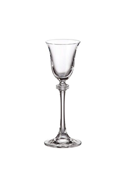 BOHEMİA CRYSTAL Set of 6 Crystal Bohemia Asio liqueur glasses 60 ml transparent