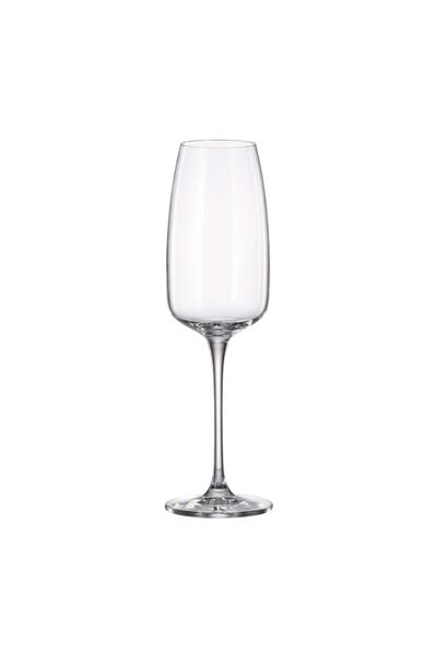 BOHEMİA CRYSTAL Set of 6 Crystal Bohemia Anas Champagne Glasses 290 ml, Trans...