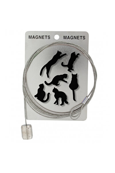Pylones Fotoğraf Tutucu Kablo ve Mıknatıslar - Manyetik Kablo (Siyah Kedi)