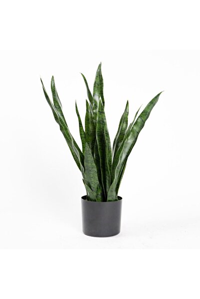 SUPERGREENS Plantă artificială Robusta cu șarpe 70 cm