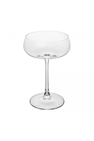 BOHEMİA CRYSTAL Set of 6 Crystal Bohemia Iduna Martini Glasses 300 ml, clear
