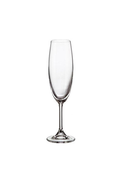 BOHEMİA CRYSTAL Set of 6 Crystal Bohemia Sylvia champagne glasses 220 ml transparent