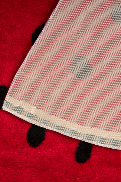 SECDEM Mkhometeks 50X70 cm Watermelon Patterned Plush Floor Mat – Soft Non-Slip Base