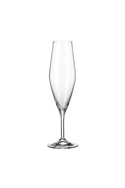 BOHEMİA CRYSTAL Crystal Bohemia Gavia Champagne Glass Set 6 x 210 ml, Transpa...