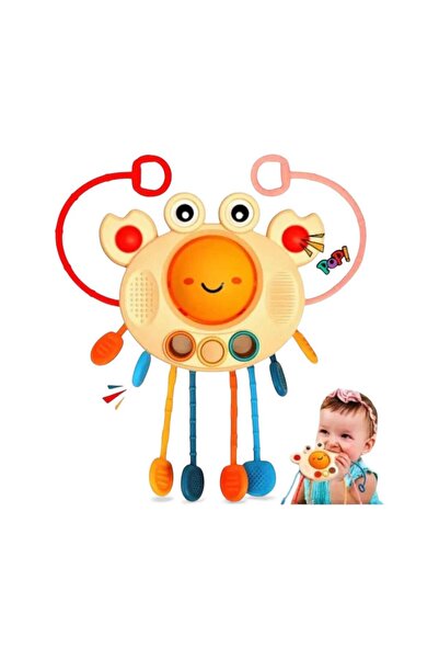 OEM Montessori Sensory Interactive Toy for Children 18+ Months