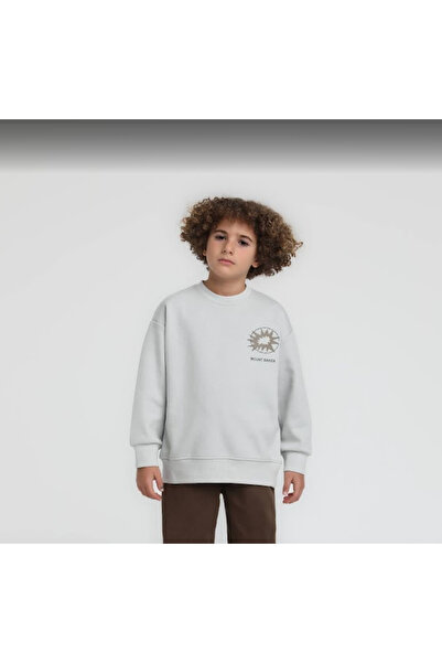 Jack Lions سترة رياضية رمادية للأولاد من جاكليونز 1847