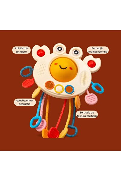 OEM Montessori Sensory Interactive Toy for Children 18+ Months