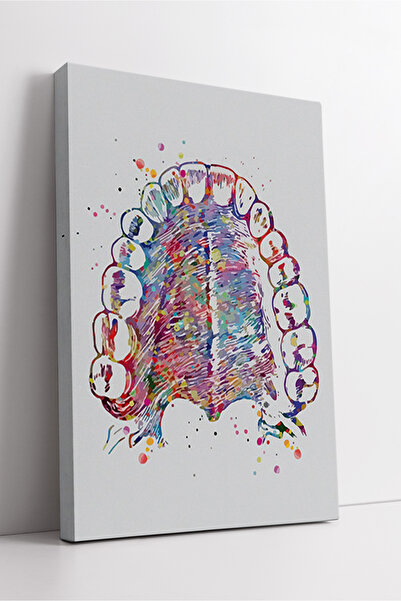 KOSS Dijital Structura maxilarului superior colorată, design artistic de anat...