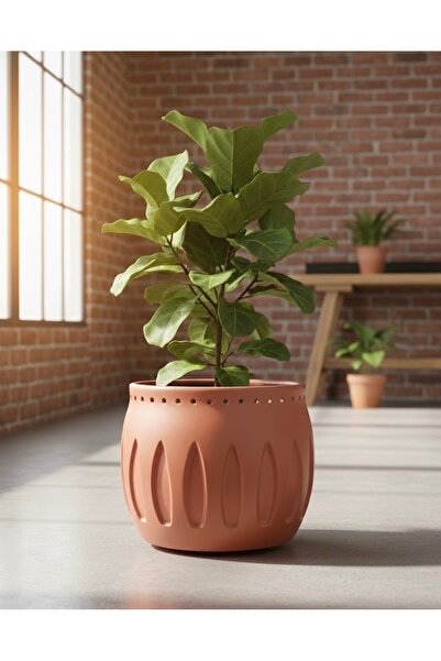 Harmony Büyük Boy Beton Saksı