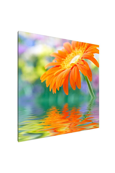 PozaTablou Pictură pe pânză: Reflecții vibrante 70x70 cm