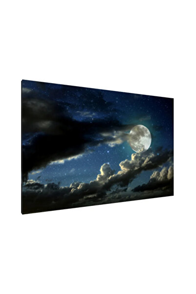 PozaTablou Pictură pe pânză: Liniște sub lumina lunii (2) 70x50 cm