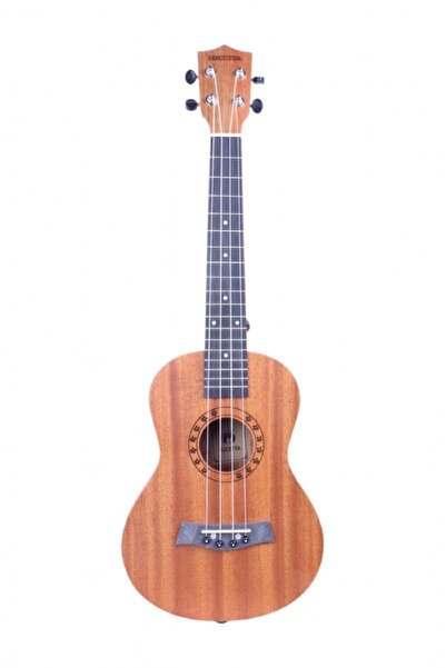 Erga Müzik Concert Ukulele