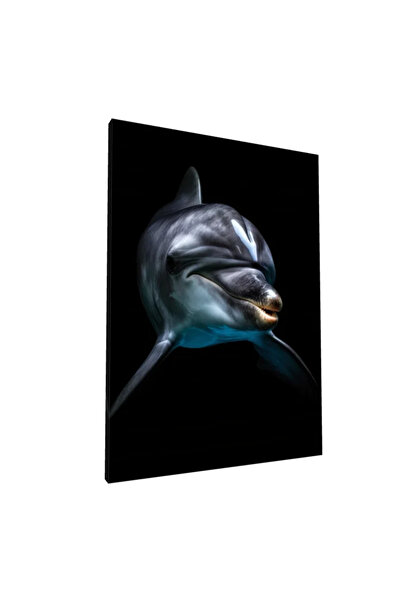 PozaTablou Pictură pe pânză: Portret realist de delfin pe fundal negru 80x110 cm