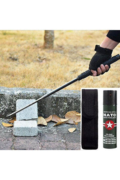 Ems Self-Defense Kit consisting of Professional Telescopic Baton and Nato Spray 60 ml + Case