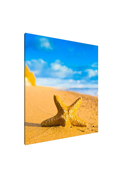 PozaTablou Pictură pe pânză: Stea de mare pe țărm (1) 70x80 cm