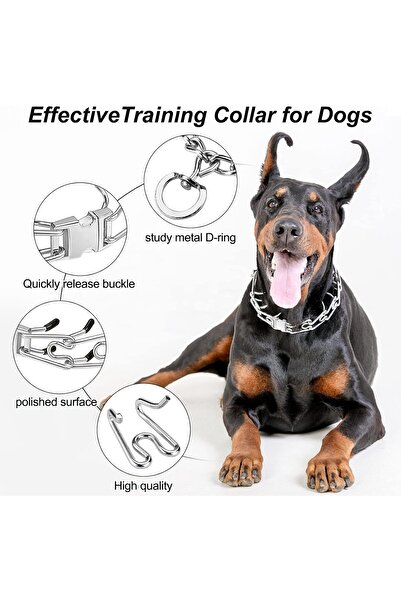 Monlida Dog Prong Collar, Pinch Collar with Quick Release Buckle, Adjustable Metal Choke Collar (M,